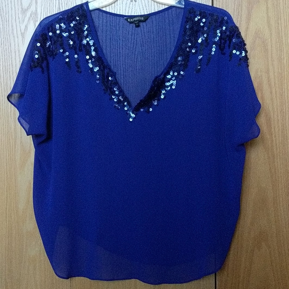 Sheer Sequin Top